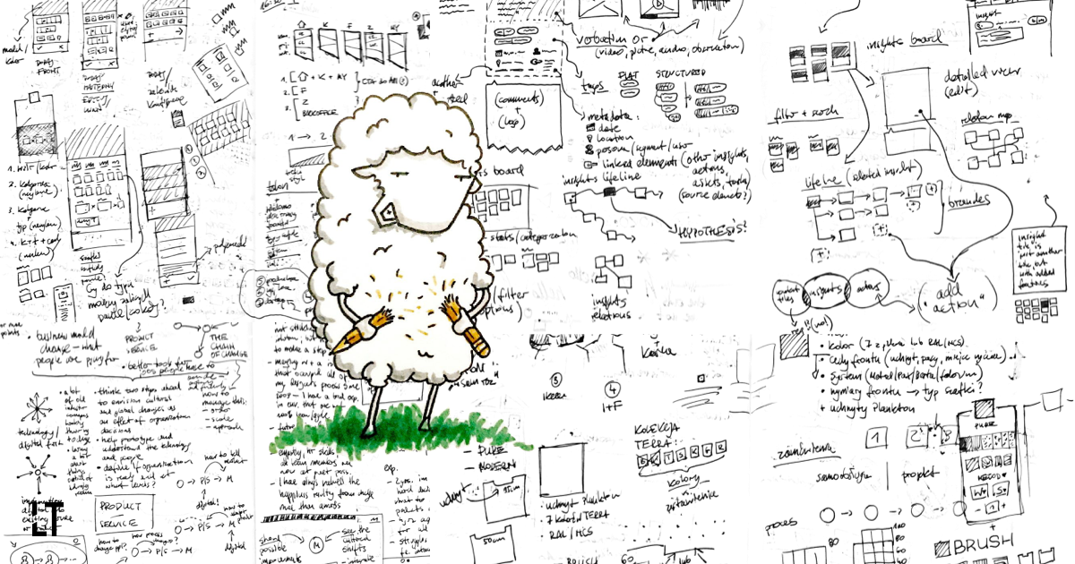 Sheep
